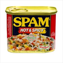 スパム (SPAM) ホット&スパイシー 340g 沖縄ホーメル