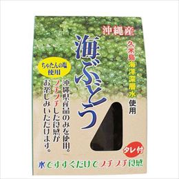 沖縄県産 海ぶどう 50g タレ付 (送料無料) 久米島 海洋深層水使用 大幸商事