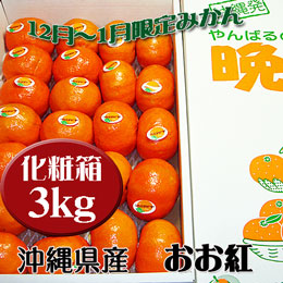 おお紅 いずみ紅 沖縄県産 やんばるの晩柑 (3kg化粧箱) 秀品 化粧箱 贈答用におすすめ 送料無料 12月期間限定