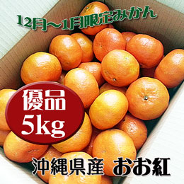 おお紅 いずみ紅 沖縄県産 やんばるの晩柑 (5kg) 箱詰め ご家庭用 贈答用におすすめ 送料無料 12月期間限定