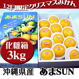 あまSUN (あまさん) 沖縄県産 約3kg(9-14玉) 秀品 化粧箱 贈答用におすすめ 送料無料 12月期間限定のクリスマスみかん