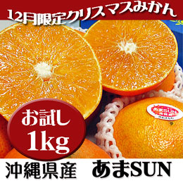 あまSUN (あまさん) 沖縄県産 お試し 約1kg 箱詰め 規格外等で訳あり 12月期間限定のクリスマスみかん