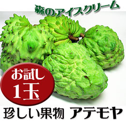 アテモヤ 沖縄県産 お試し 1玉 (約200g前後) あてもやは森のアイスクリームと言われ珍しいフルーツ (12月頃)