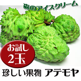 アテモヤ 沖縄県産 お試し 2玉 (約400g前後) あてもやは森のアイスクリームと言われ珍しいフルーツ (12月頃)