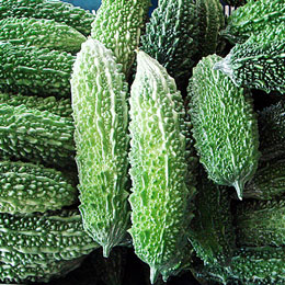 ゴーヤ 生野菜 沖縄県産 約1kg (約2-5本) ゴーヤーチャンプルーにどうぞ