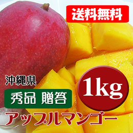 アップルマンゴー 沖縄県産 秀品 約1kg (約2-3玉) 贈答用 ギフト 化粧箱 送料無料 (7月頃)