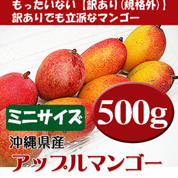 アップルマンゴー 沖縄県産 規格外ミニ (約2-10玉) 約500g 家庭用 お試し (7月頃)