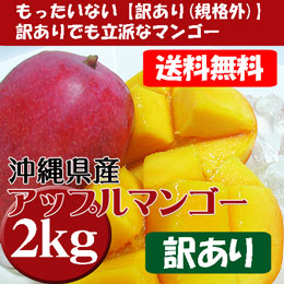 アップルマンゴー 沖縄県産 訳あり 約2kg (約4-12玉) 家庭用 お試し 送料無料 (7月頃)