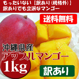 アップルマンゴー 沖縄県産 訳あり 約1kg (約2-6玉) 家庭用 お試し 送料無料 (7月頃)