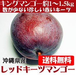 レッドキーツマンゴー 沖縄県産 約1-1.5kg (約1-3玉) 贈答用 ギフト 化粧箱 送料無料 キングマンゴー赤 (8月頃)