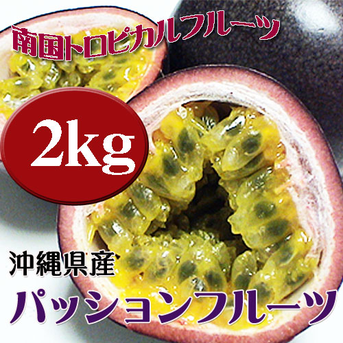 パッションフルーツ 約2kg (約16-24玉) 沖縄県産 南国トロピカルフルーツ 香りの良い果物