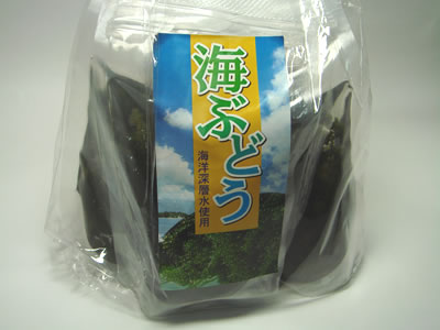 海ぶどう 海洋深層水 20g×2P(40g) (送料無料) 賞味期限が長くなりました