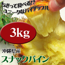 スナックパイン 沖縄県産 ボゴール 約3kg (約3玉-6玉) 送料無料 ちぎって食べるパイナップル