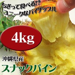 スナックパイン 沖縄県産 ボゴール 約4kg (約4玉-9玉) 送料無料 ちぎって食べるパイナップル