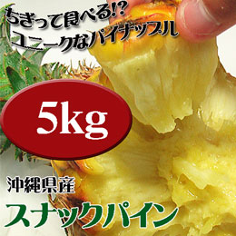 スナックパイン 沖縄県産 ボゴール 約5kg (約5玉-11玉) 送料無料 ちぎって食べるパイナップル